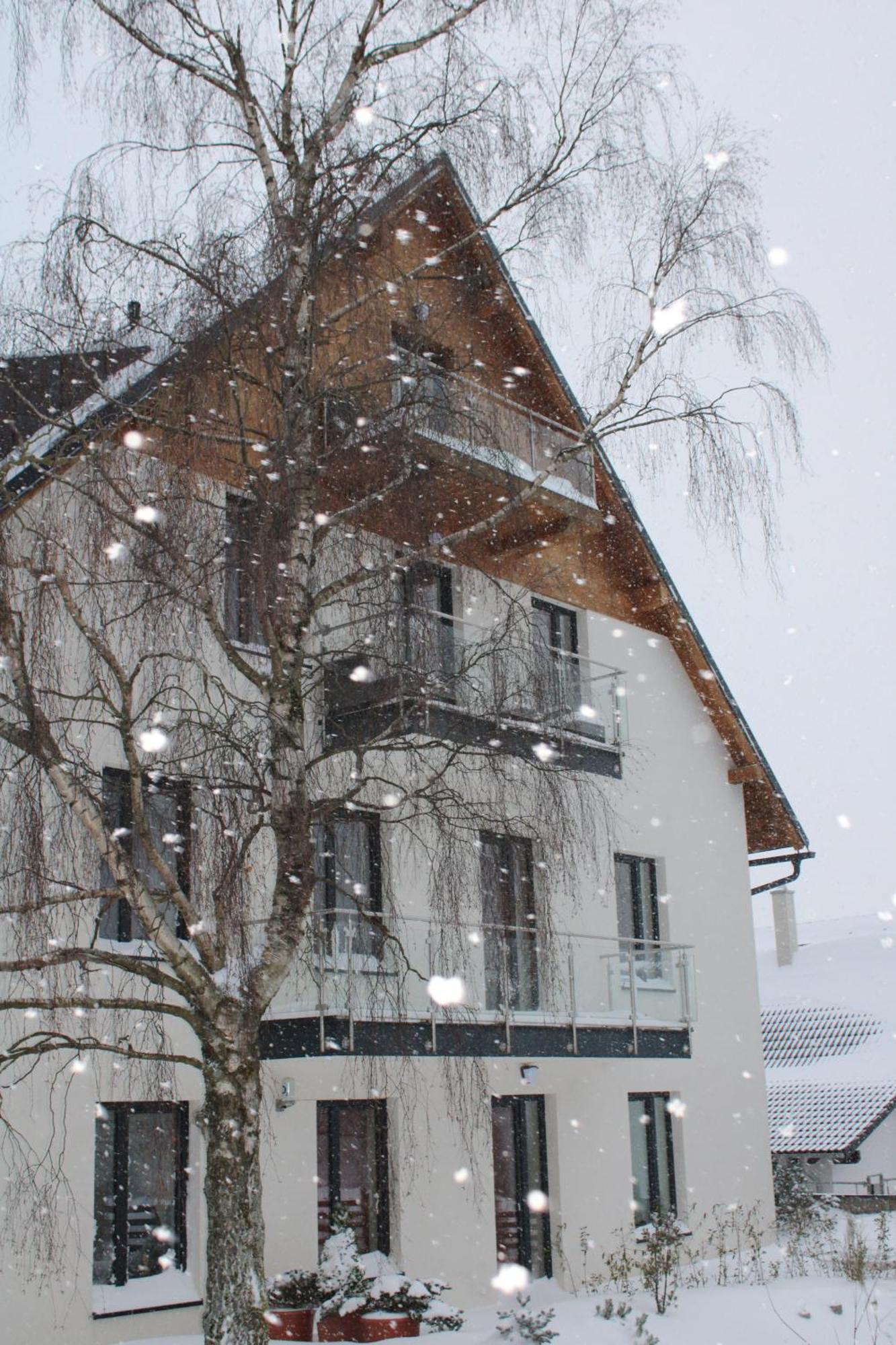 Ski Apartman Snowcat Abertamy Exteriér fotografie